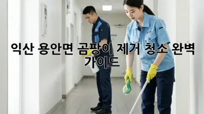 익산 용안면 곰팡이 제거 청소 완벽 가이드