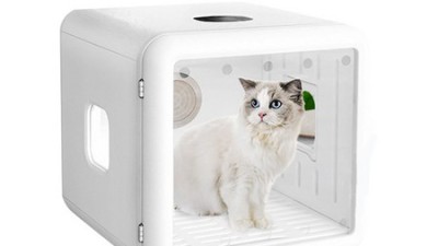 🐶 댕댕이 털 말리기, 이젠 렌탈로 뽀송하게! 솔직 후기 💨