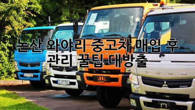 🚗 논산 와야리 중고차 매입 후 관리, 꿀팁 대방출! ✨